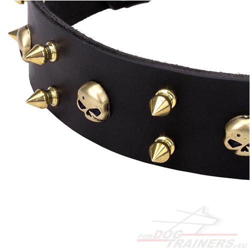 Black Collar for Big Dog with Extreme Brass Decoration