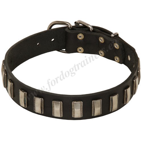 Designer Leather Dog Collar