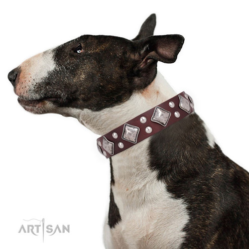 Wide Brown Leather Dog Collar