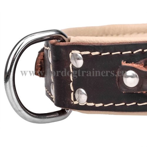 Braided Leather Dog Collar