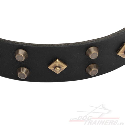 Hand-fixed Studs and Pyramids
of the New Dog Collar