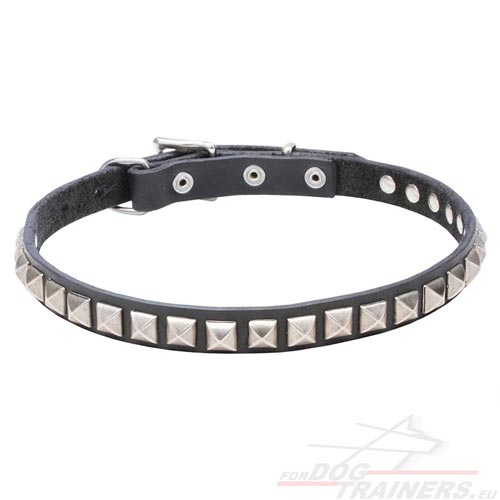 Dog Collar with Studs Black Leather