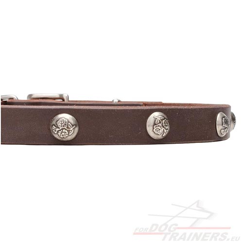 Dog Collar Narrow with Brand-New Decoration