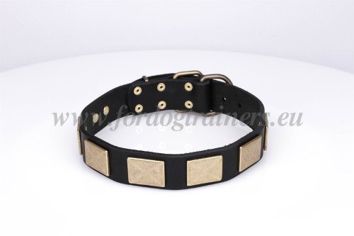 Handmade Dog Collar Leather and Brass