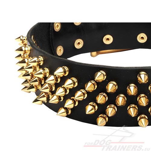Leather Dog Collar Wide with Spikes