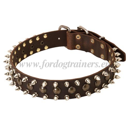 Guard Dog Walking Collar