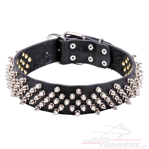 Leather Dog Collar with Spikes