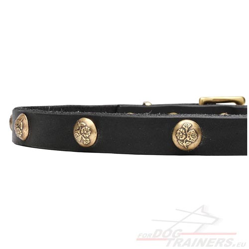 Dog Collar Black Leather Stamped Studs