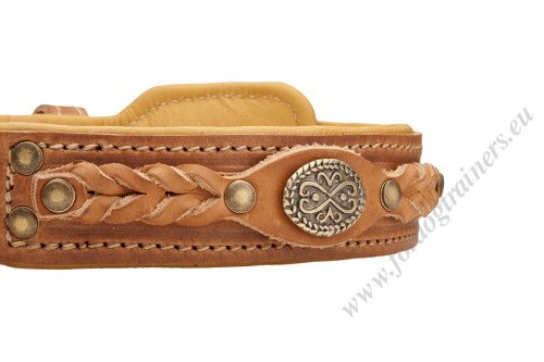 Handcrafted Dog Collar with Braids