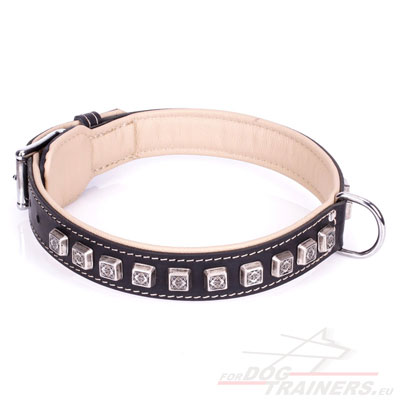 Leather Dog Collar Wide ForDogTrainers