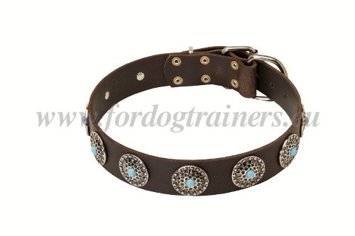 Verziertes Hundehalsband fr mittelgroe Hunde