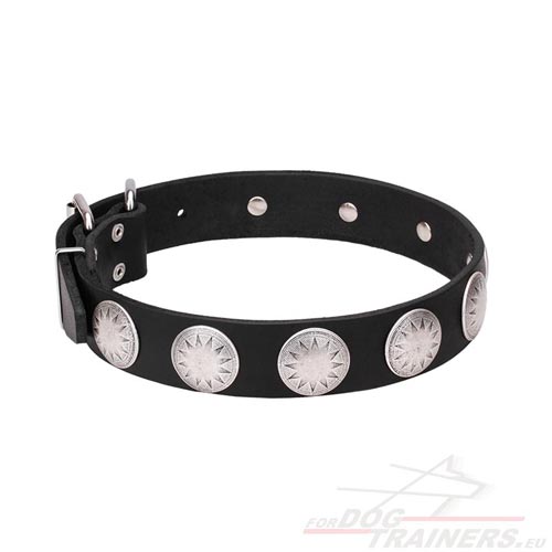 Studded Pet Collar with Stars Chrome-plated