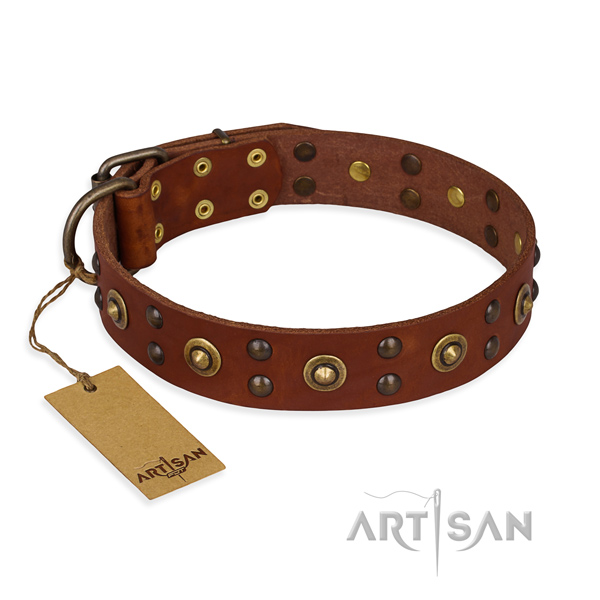 Leather Studded Dog Collars and Leashes