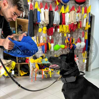Handcrafted Dog Training Collar for GSD Agitation