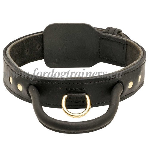 Lederhalsband mit Griff fr Bullterrier