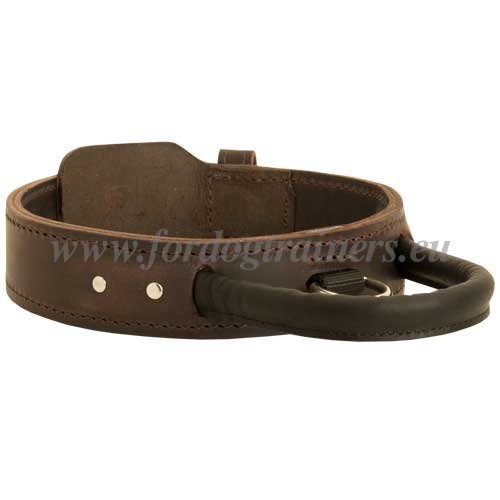 Leather Collar with Handle Multifunctional for Dog