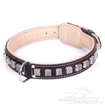 Leather Dog Collar with D Ring Solid