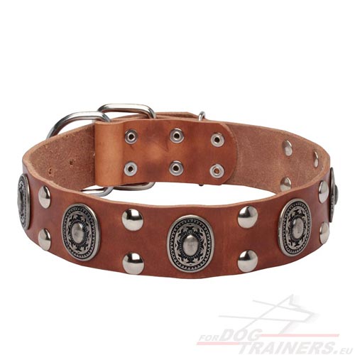 Leather Dog Collar for Walking Impressive Design