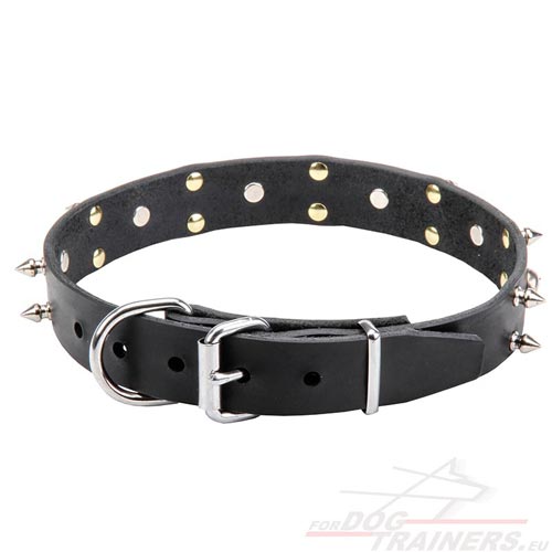 Small Dog Collars