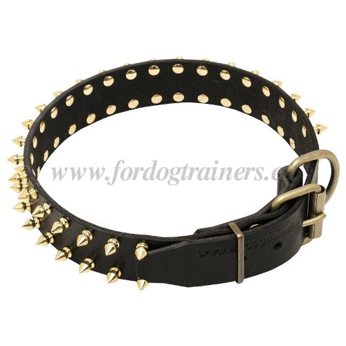 Leather Dog Collar with Spikes