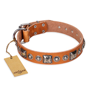 Decorated Leather Collar Tan for Dogs