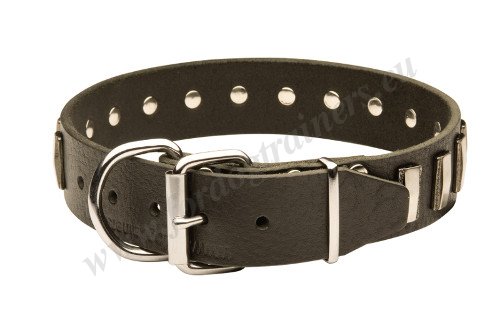 Buckle of the Leather Collar Made of
Nickel-Plated Steel