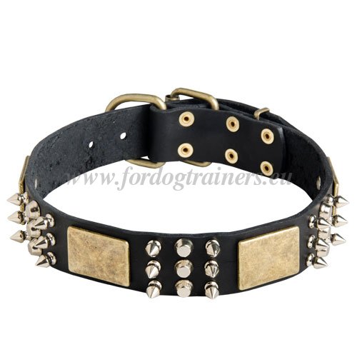 Leather Dog Collars Thick with Decoration