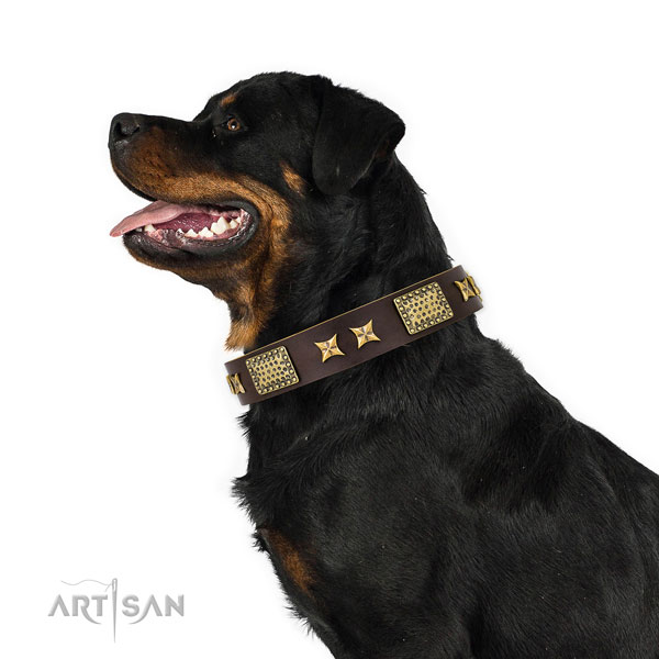 Brand Leather Collar for Rottweilers