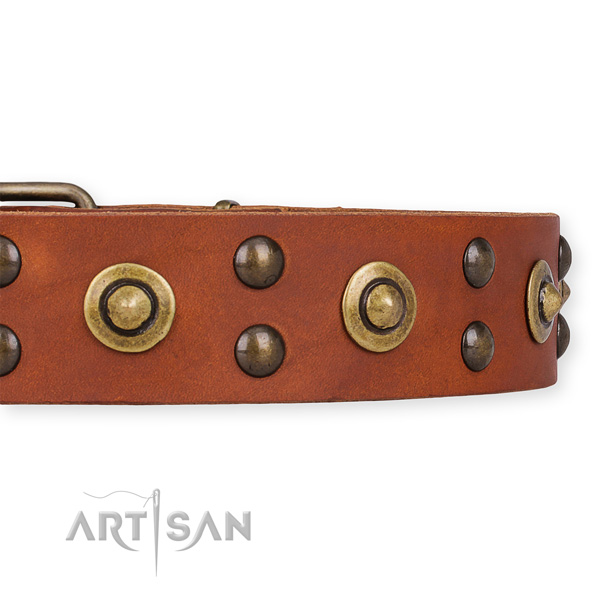 Handmade Leather Studded Dog Collars