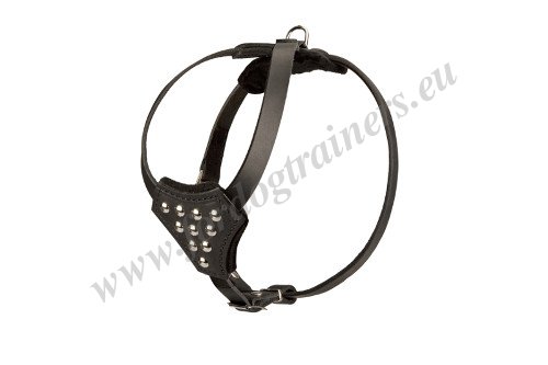 Leather
Dog Harness with Solid Hardware