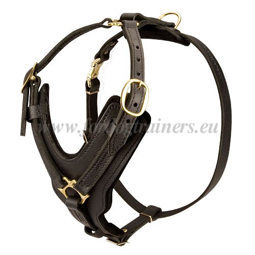 Leather Harness for Extra Large Dogs