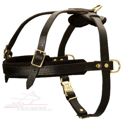 Dog Pulling Equipment Harness