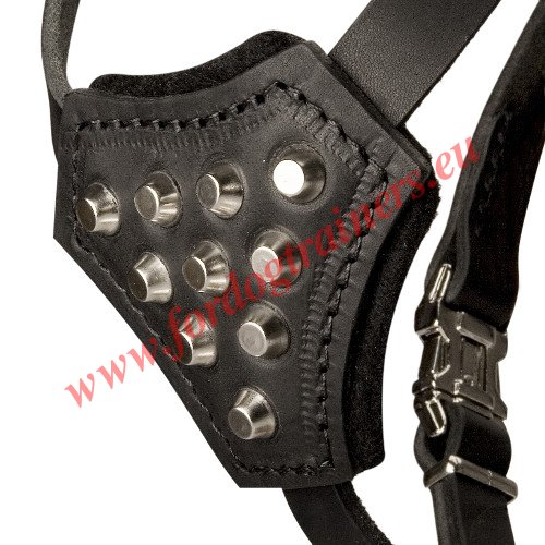 Walking Dog Harness with Padded Chest