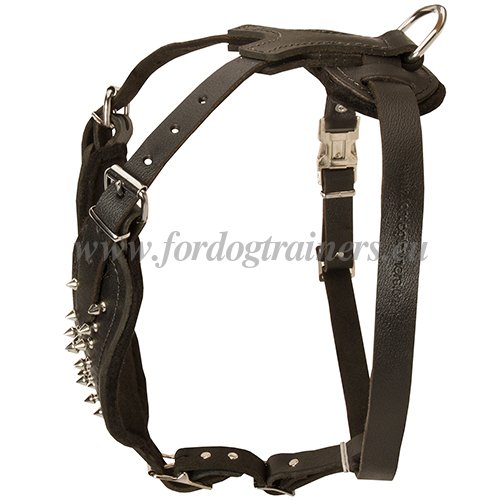 Y Shaped Dog Harness with Spikes