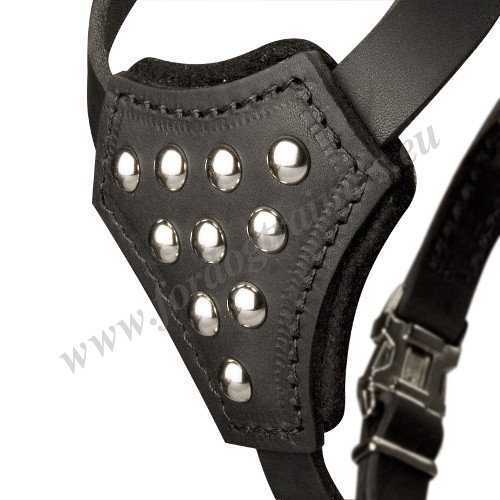 Dog Harness with Nickel-plated Fittings
