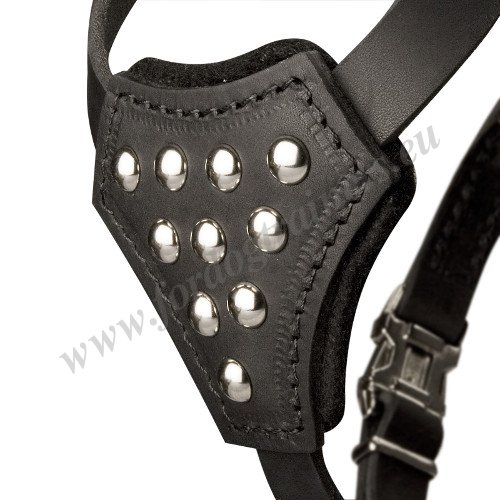 Dog Harness with Nickel-plated
Fittings