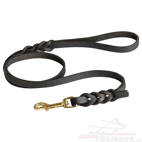 Leather Dog Leash with Braided Part