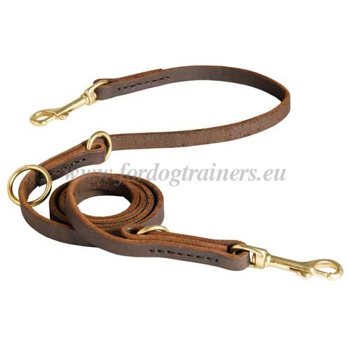 Leather Dog Lead Manufacturers FDT