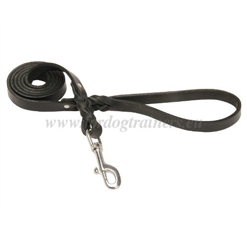 Leather Dog Leash Braided Ends