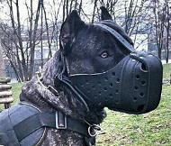 Extra Large Dog Leather Muzzle ❺ [M55##1057 Museruola in pelle "Dondi plus" per Dogo Canario]