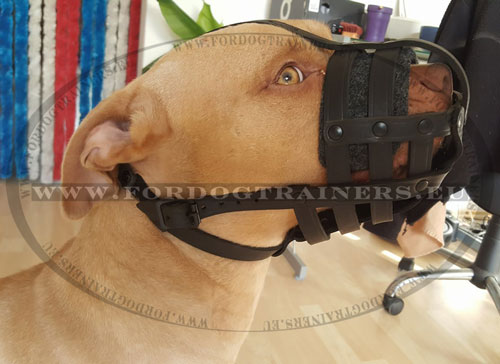 Black Leather Dog Muzzle Comfortable