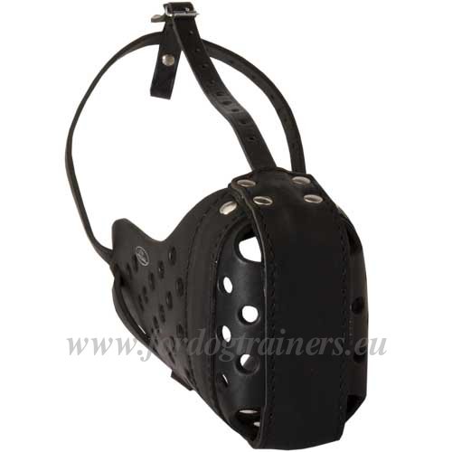 Solid Leather Dog Muzzle for Boerboel
