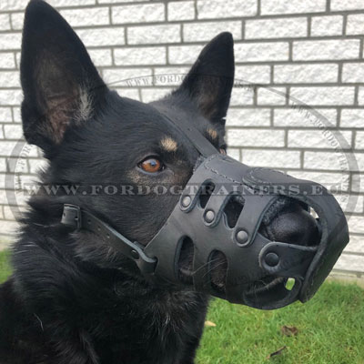 Leather Dog Muzzle for German Shepherd Closed