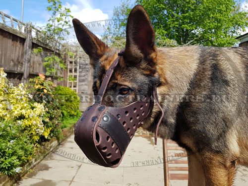 Leather Dog Muzzle for German Shepherd Handmade