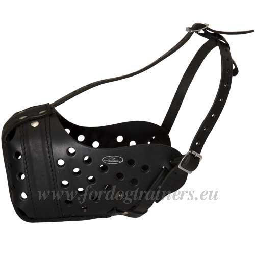 Leather Muzzle with Holes for Agitation