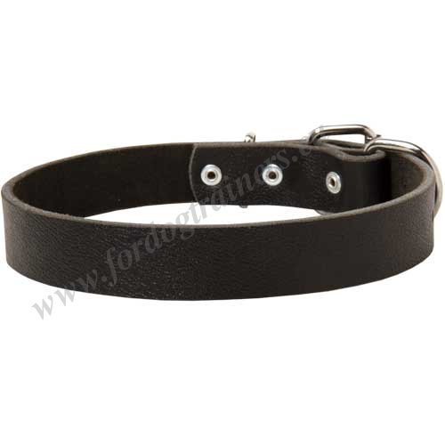Leather Strap Dog Collar