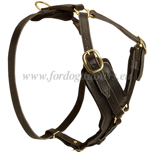 Attack Protection Training Dog Harness