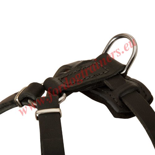 Designer Dog Harness with Pyramids