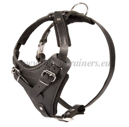 Leather Harness for Rottweilers Training