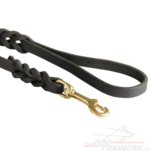 Braided Dog Leash